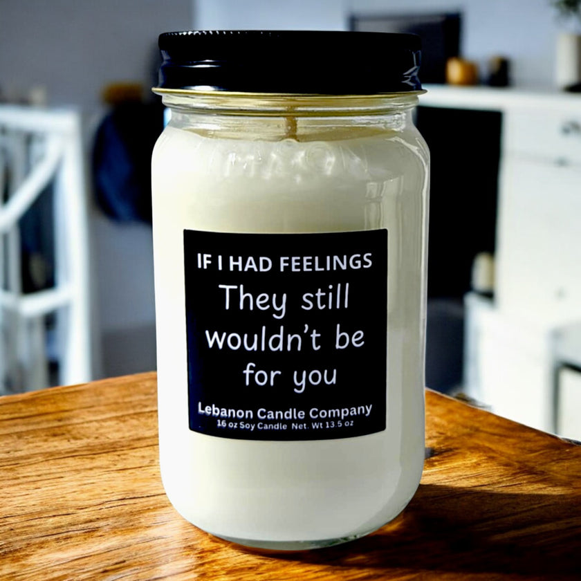 Funny No Feelings For You Candle