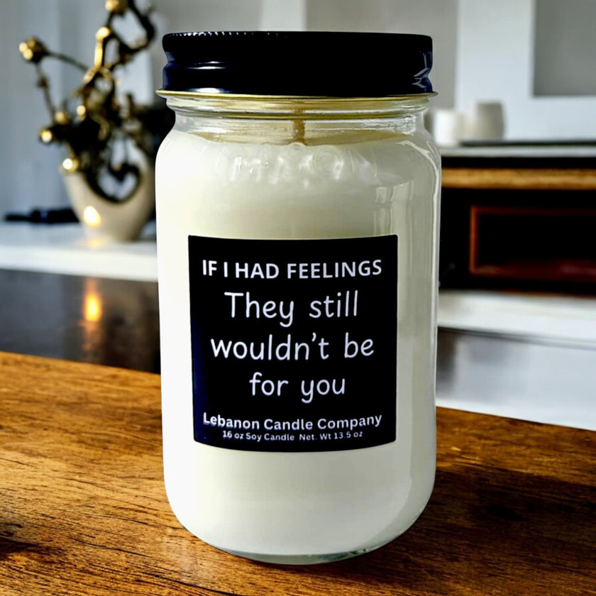 Funny No Feelings For You Candle