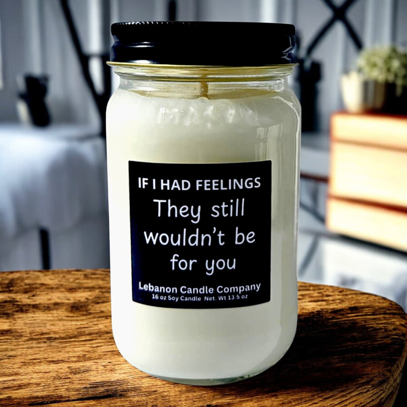 Funny No Feelings For You Candle