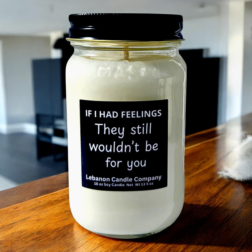 Funny No Feelings For You Candle