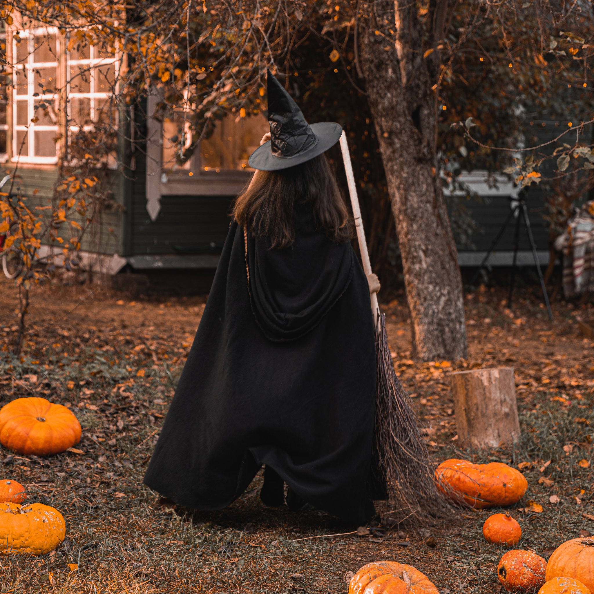 Hocus Pocus Fragrance Oil