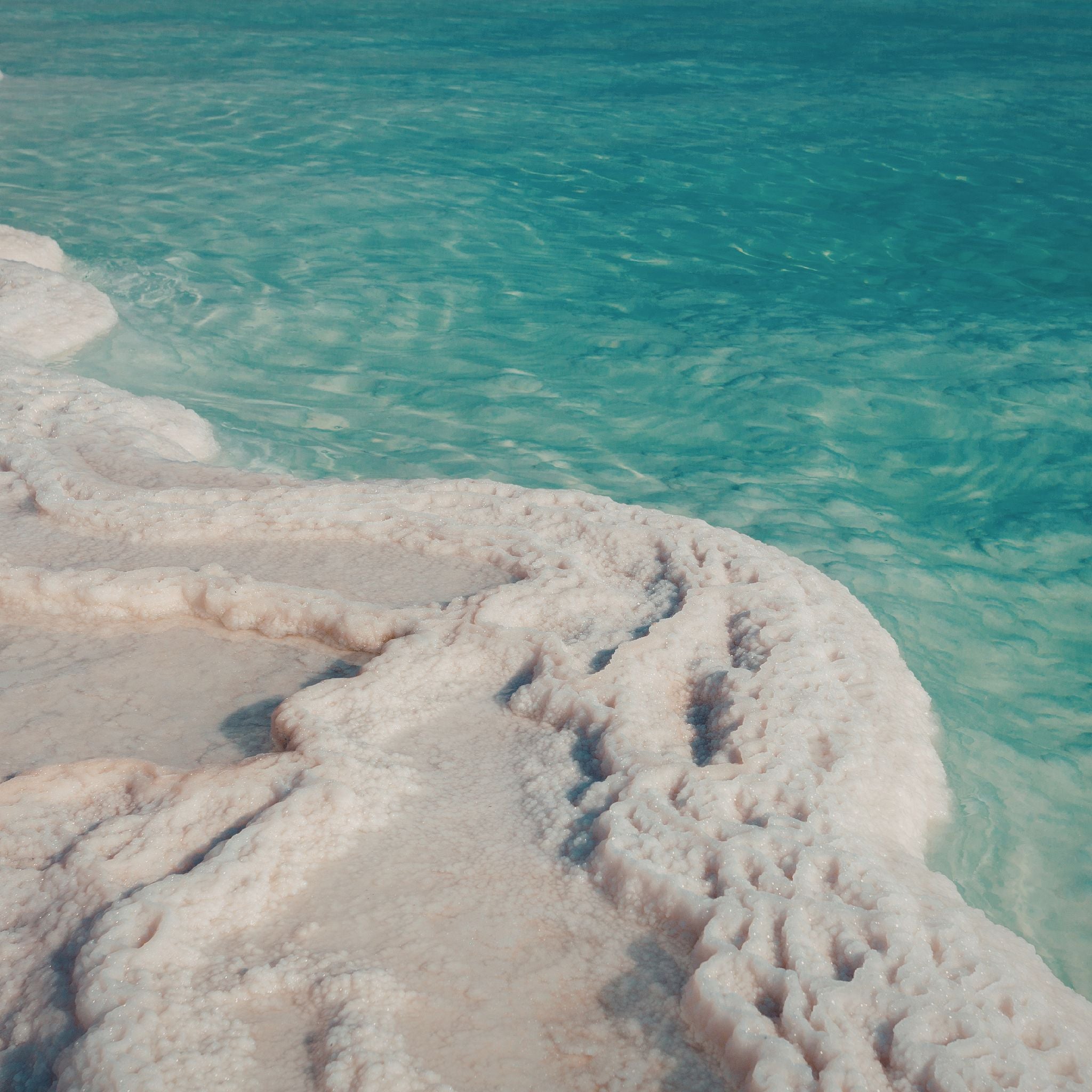 Sea Salt Blossom Fragrance Oil