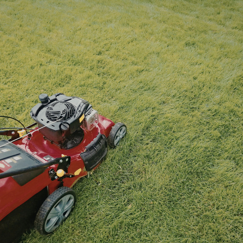 Fresh Cut Grass Fragrance Oil