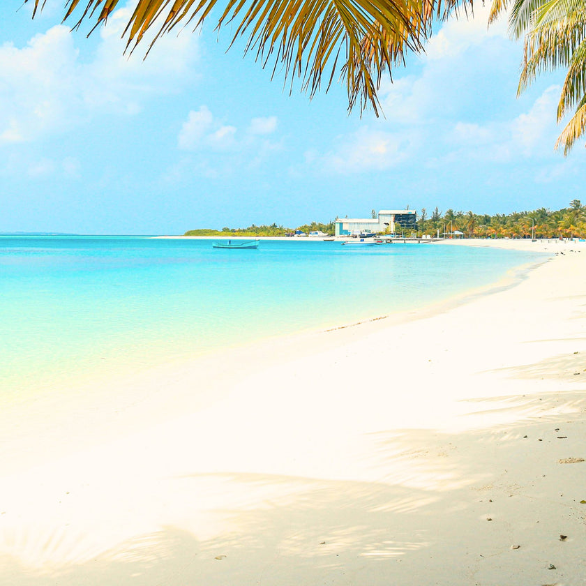 Jamaica Me Crazy Fragrance Oil