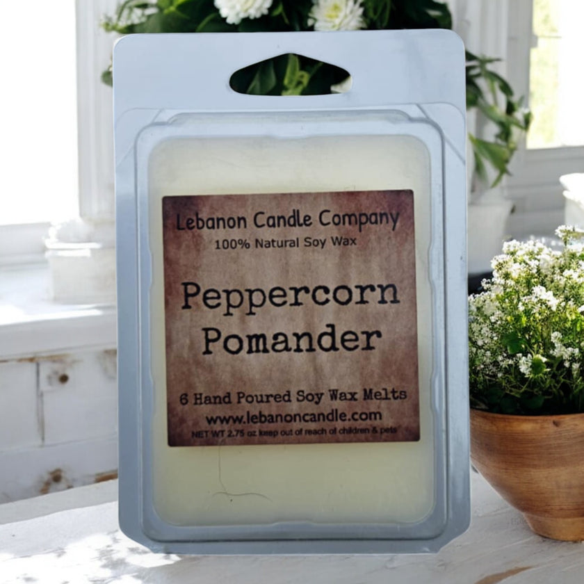 Peppercorn Pomander Wax Melt
