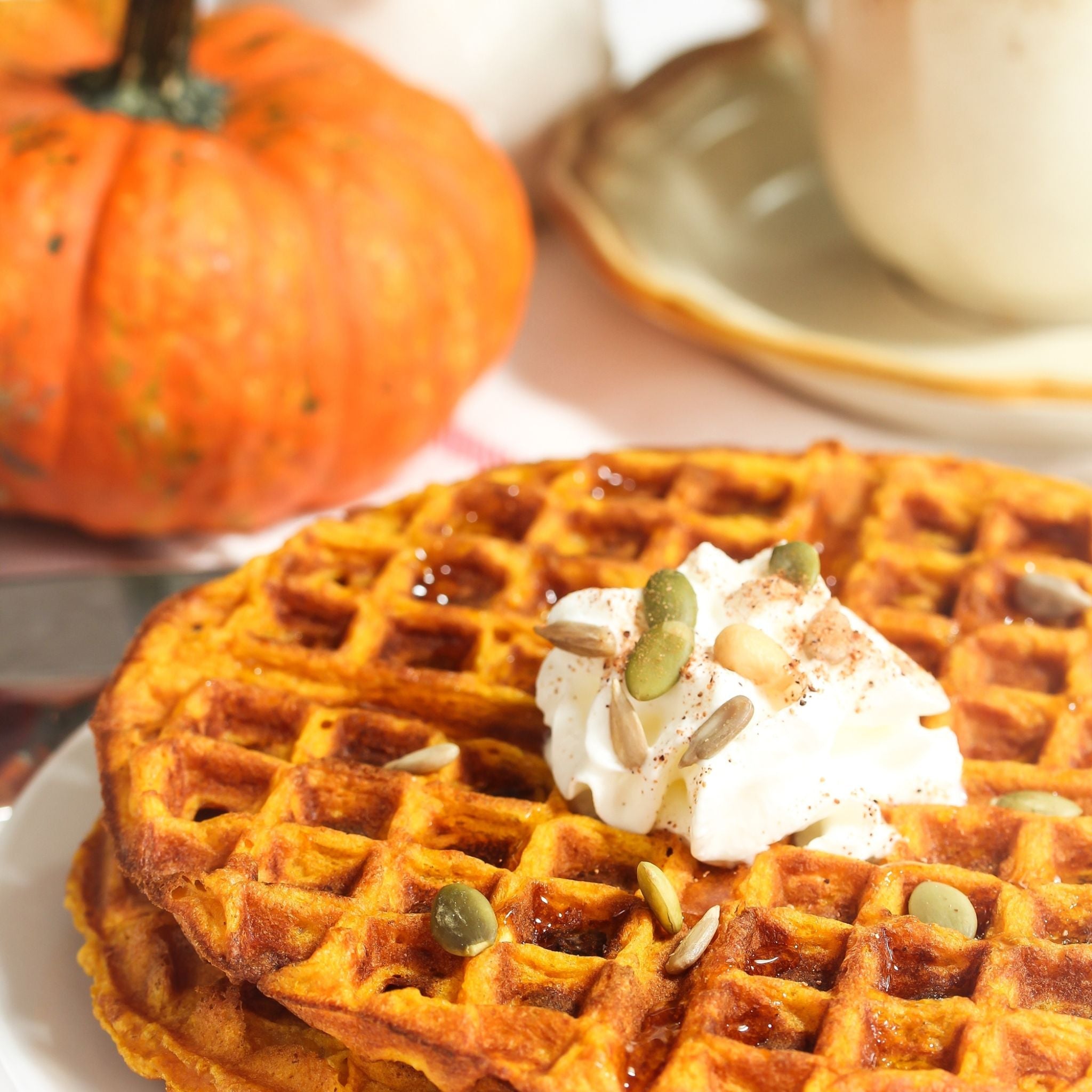 Pumpkin Pecan Waffles (Type) Fragrance Oil