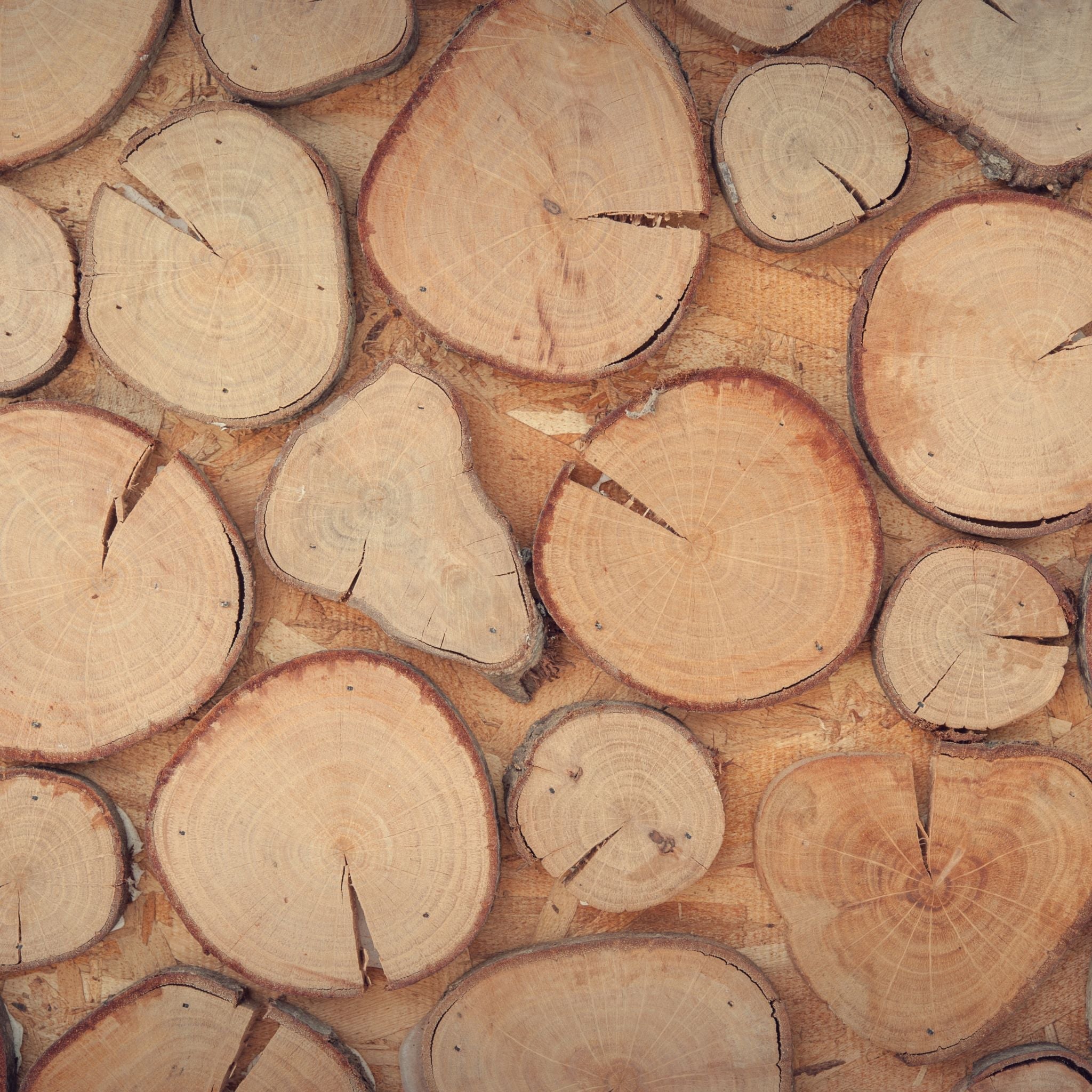 Sandalwood & Suede Fragrance Oil