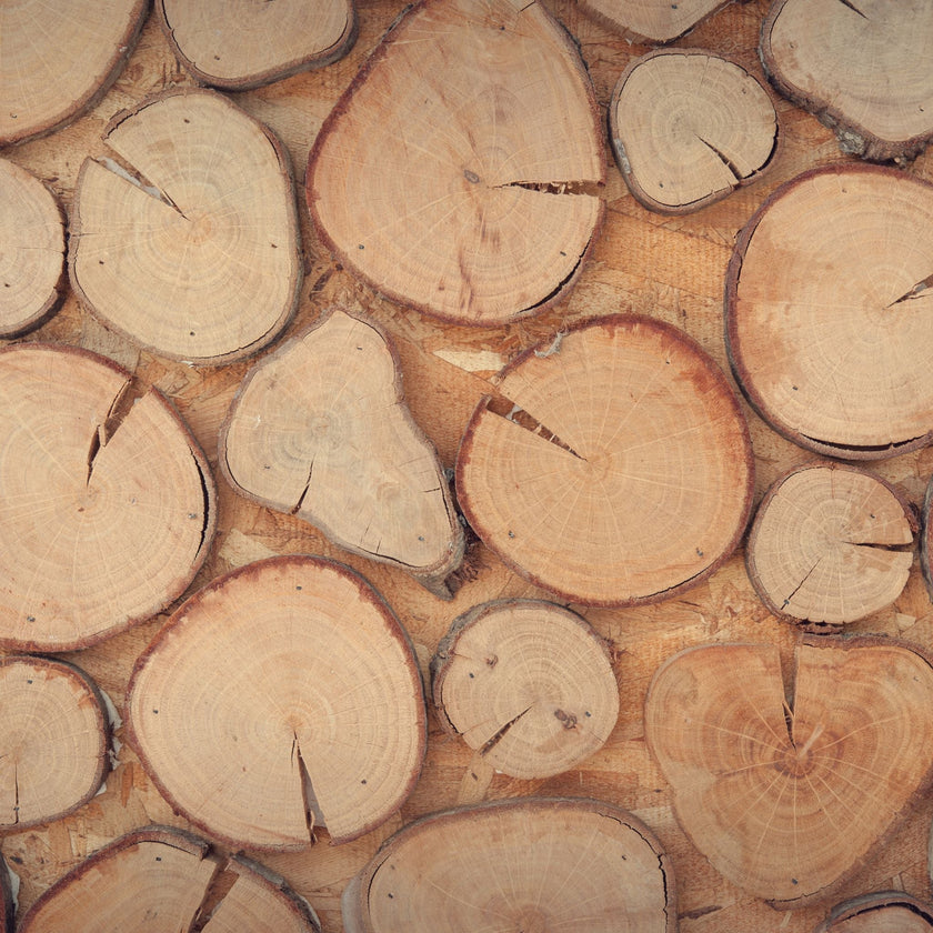 Sandalwood & Suede Fragrance Oil