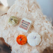 {{product_title}} - Strong Scented Soy Wax Melts | Lebanon Candle Co