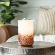 Tiger Shell Warmer