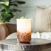 Tiger Shell Warmer