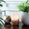 Tiger Shell Warmer