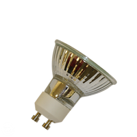 Replacment Bulb