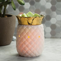 Pineapple Warmer