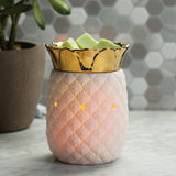 Pineapple Warmer