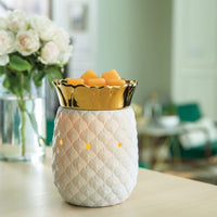 Pineapple Warmer