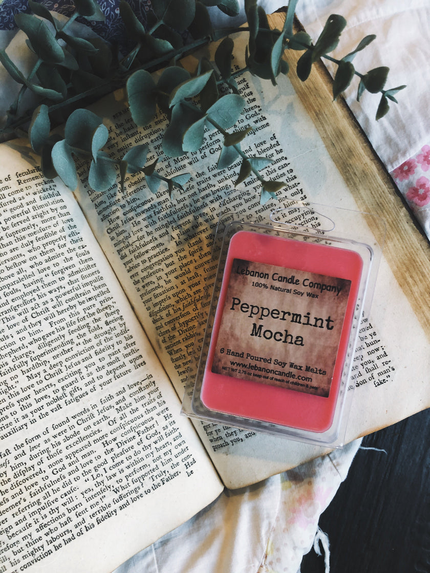 Peppermint Mocha Wax Melt